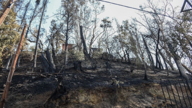 Βόνιτσα: Μεγάλη φωτιά στην Πογωνιά – Επιχειρούν 7 εναέρια μέσα