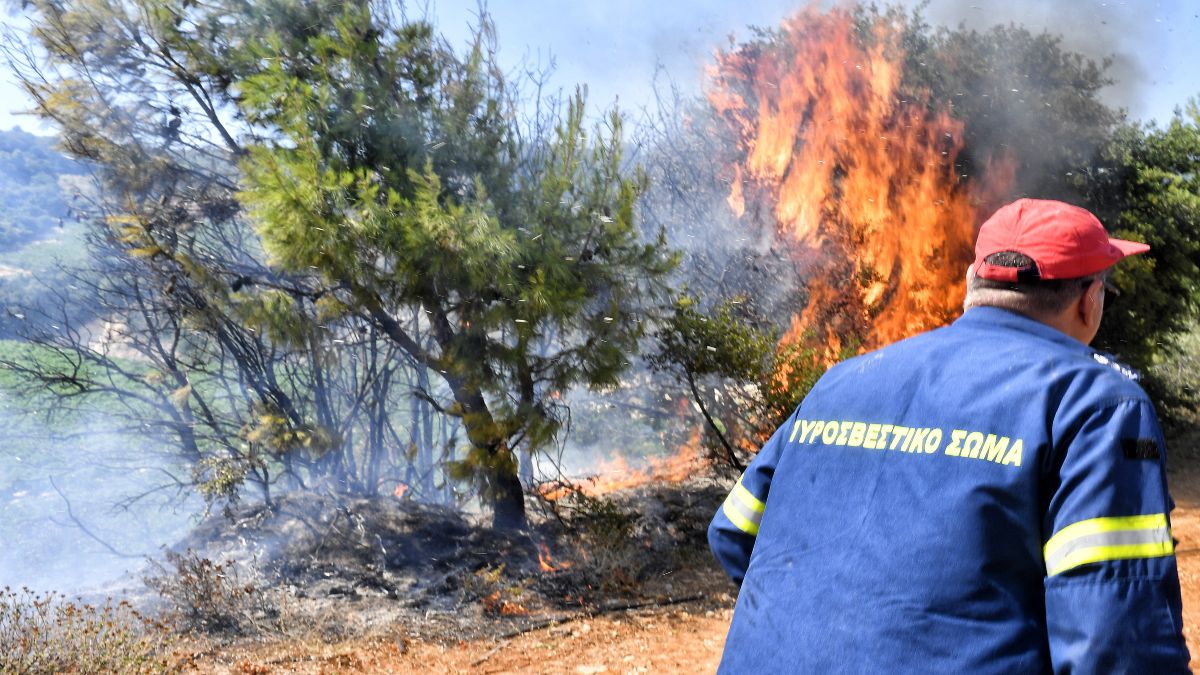 Φωτιά στον Λαγκαδά Θεσσαλονίκης: Καίει αγροτοδασική έκταση