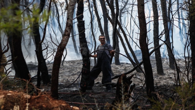 Φωτιά στην Κόρινθο: 3 οχήματα και 9 πυροσβέστες στη περιοχή