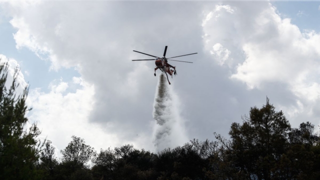 Φωτιά στον Μαραθώνα: Κινητοποίηση πυροσβεστικής – Επιχειρούν τρία ελικόπτερα