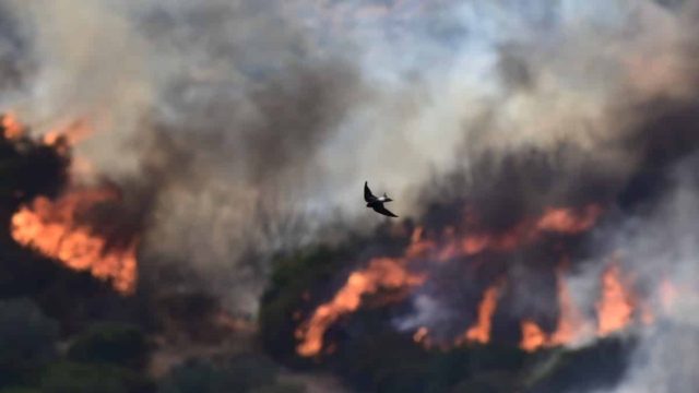 Φωτιά στην Εύβοια: Δεν υπάρχουν ενεργά μέτωπα – Κάηκαν 10.000 στρέμματα