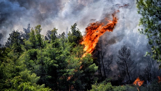 Φωτιά τώρα: Δύσκολη η κατάσταση στη Ζάκυνθο, 4 αεροσκάφη για το μέτωπο στον Φιολίτη