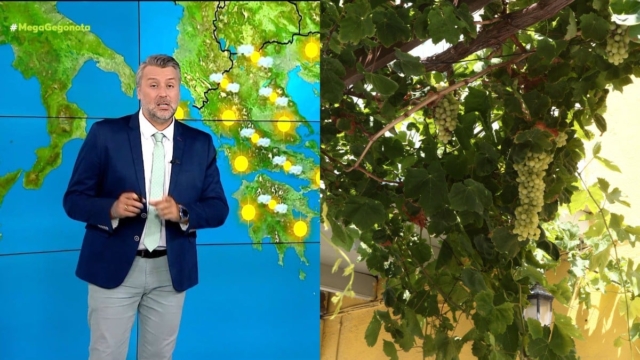 Επιβεβαίωσε το μοιραίο ο Γιάννης Καλλιάνος: «Αφού πέρασε η κακοκαιρία, η θερμοκρασία σιγά σιγά…»