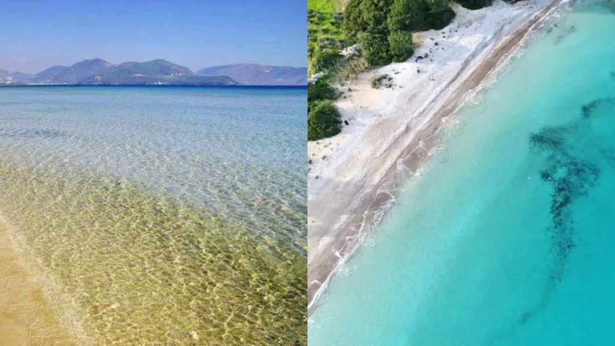 Ούτε δύο ώρες από την Αθήνα: Η παραλία με τα φοινικόδεντρα που θυμίζει εξωτικό νησί