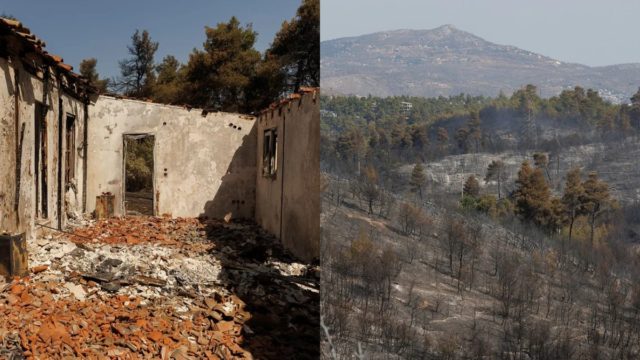 Στάχτη και μπούλμπερη έγιναν 2.000 στρέματα σε Σταμάτα και Πάρνηθα – Κάηκαν δέντρα, σπίτια και αυτοκίνητα