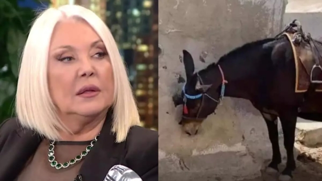 Όλο το Ίντερνετ χειροκροτά τη Ρούλα Κορομηλά: Είπε όσα πρέπει να έχουμε όλοι στο μυαλό μας για τα φορτωμένα γαϊδουράκια στα νησιά