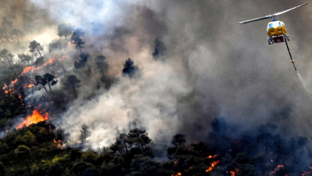 Φωτιά στη Στιμάγκα Κορινθίας: 37 μήνες φυλάκιση χωρίς αναστολή στον εμπρηστή – Ομολόγησε ο 72χρονος