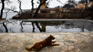 Η φωτογραφία της ημέρας: 6 χρόνια από την τραγωδία στο Μάτι