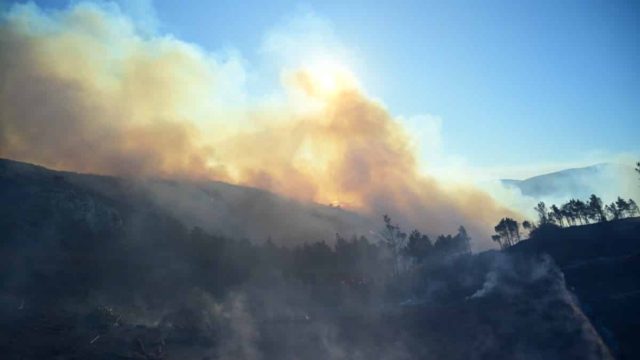 Συναγερμός στην Πυροσβεστική: Φωτιά στη Χίο – Μήνυμα από το 112