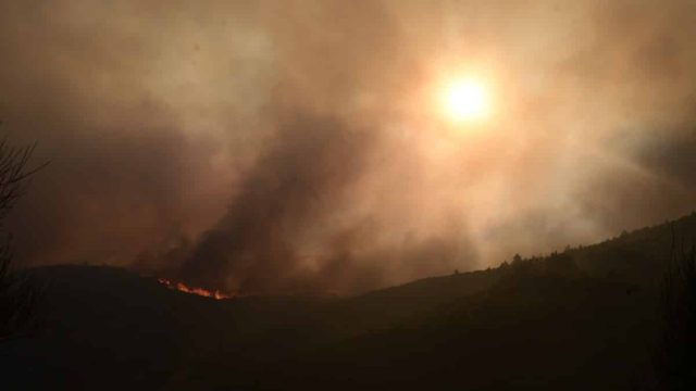 Ανεξέλεγκτη η φωτιά στην Αττική: Σε απόγνωση οι κάτοικοι στο Γραμματικό – Μηνύματα για εκκένωση προς Ραφήνα (video)