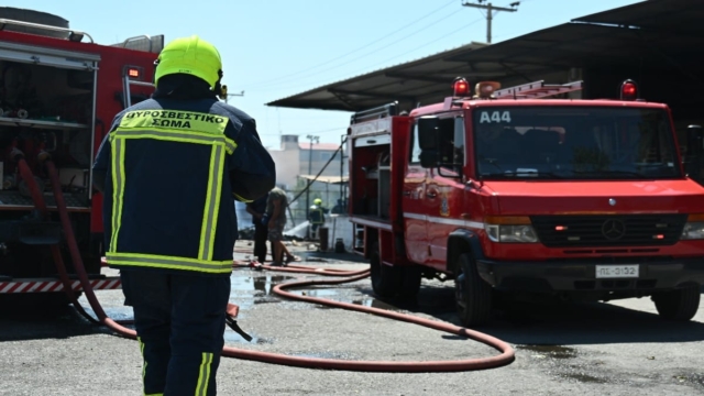 Ανατροπή στην υπόθεση με τη φωτιά στο εργοστάσιο αυγών στη Θεσσαλονίκη: Μάλλον δεν ήταν εμπρησμός από…vegan – Τι δείχνουν τα πρώτα στοιχεία