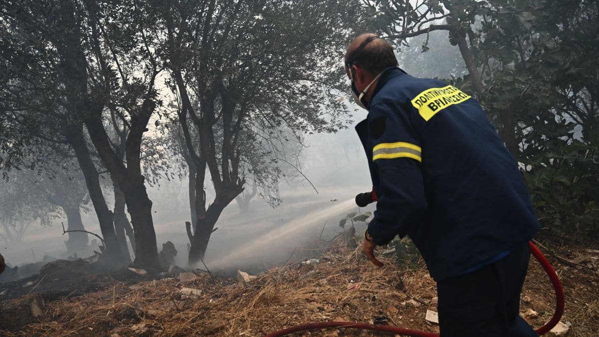 Συναγερμός στην Πυροσβεστική: Φωτιά στην Κεφαλονιά – Ήχησε το 112