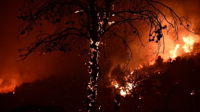 Εφιαλτική νύχτα με τη φωτιά στον Βαρνάβα: Σταμάτησαν τα ενάερια μέσα – Ποιες είναι οι 3 κύριες γραμμές άμυνας (video)