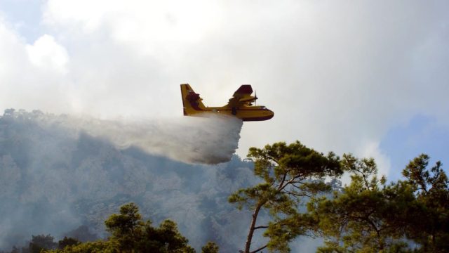 Φωτιά στην Παιανία: Μεγάλη επιχείρηση της Πυροσβεστικής – Σηκώθηκαν εναέρια μέσα