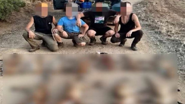 Κορινθία: Ανήλικοι σκότωσαν αλεπούδες και πόζαραν με περηφάνια στα social media!