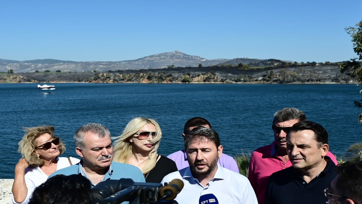Ν. Ανδρουλάκης για τη φωτιά στην Αττική: Στο ίδιο έργο θεατές με πυρκαγιές και καταστροφές ακόμη και λίγα χιλιόμετρα από το κέντρο της πρωτεύουσας
