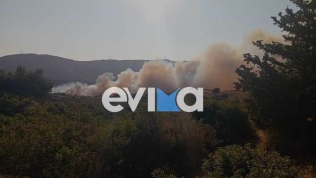 Συναγερμός στην Πυροσβεστική: Δύο τα πύρινα μέτωπα στην Εύβοια σε Μεσοχώρια και Ζάρακες (video)