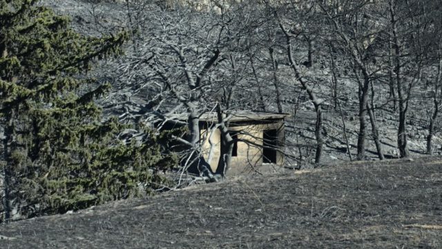 Υπόνοιες για εμπρησμό από τη δήμαρχο Ραφήνας – Πικερμίου: «Ξυπνάει το φεγγάρι και βάζει φωτιά μόνο του;» (video)