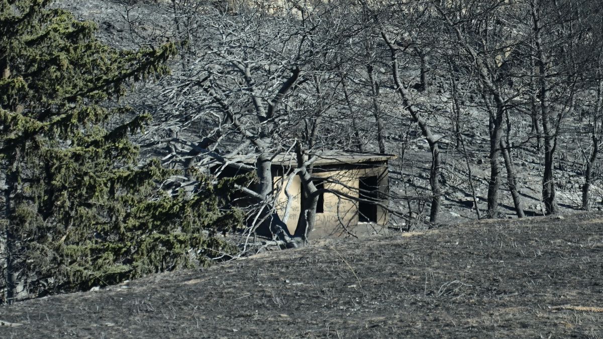 Υπόνοιες για εμπρησμό από τη δήμαρχο Ραφήνας – Πικερμίου: «Ξυπνάει το φεγγάρι και βάζει φωτιά μόνο του;» (video)