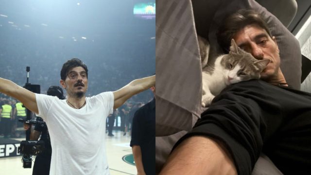 Ανατριχιαστικό βίντεο: Αυτοκίνητο πατά τον γάτο του Δημήτρη Γιαννακόπουλου και τον εγκαταλείπει!