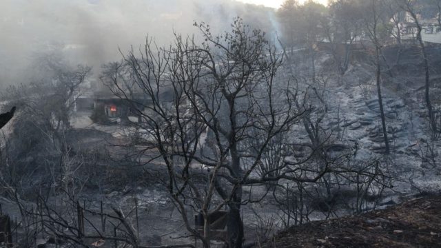 Δυσοίωνες προβλέψεις για φυσική αναγέννηση των καμένων στην Αττική: Το 60% των εκτάσεων είχε ξανακαεί το 2009 – Ο χάρτης που μαρτυρά τη μαύρη αλήθεια