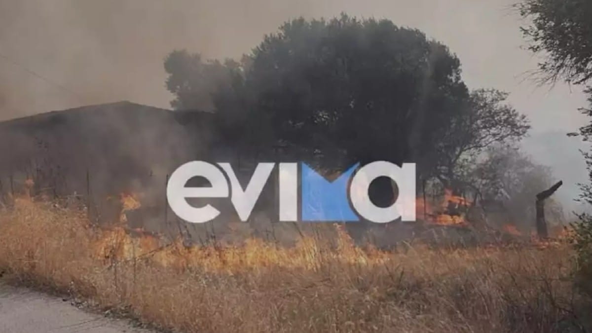 Συναγερμός στην Ερέτρια Ευβοίας: Φωτιά καίει κοντά σε σπίτια – Στην περιοχή πνέουν πολύ ισχυροί άνεμοι