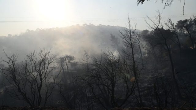 Φωτιά στον Έβρο: Καίει σε δασική έκταση – Μεγάλη κινητοποίηση της Πυροσβεστικής