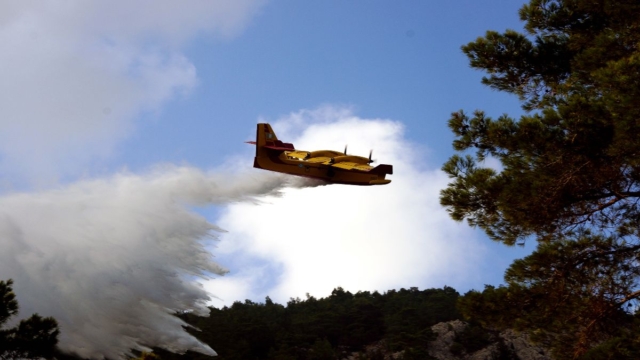 Φωτιά στη Ζάκυνθο: Άμεση κινητοποίηση της Πυροσβεστικής με επίγεια και εναέρια μέσα