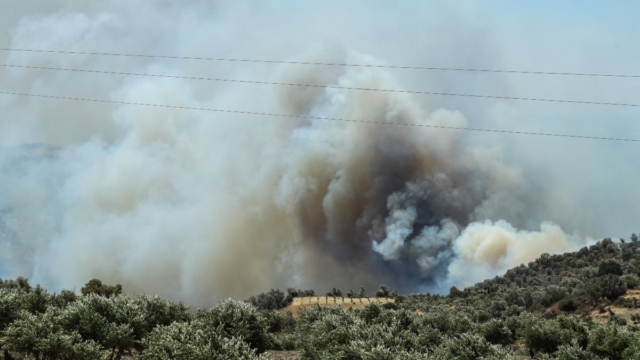 Σε μεγάλη επιφυλακή για κίνδυνο πυρκαγιάς ο κρατικός μηχανισμός: Έκτακτα μέτρα μέχρι το Δεκαπενταύγουστο και όλη η Ελλάδα στο «κόκκινο»