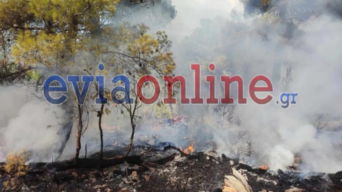 Κακοκαιρία: Σε εξέλιξη τέσσερις φωτιές στην Εύβοια από κεραυνούς