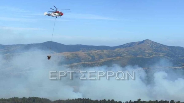 Φωτιά στο Μενοίκιο Όρος: Από το πρωί (10/8) επιχειρούν εναέρια μέσα – Πέντε φωτιές σε μια μέρα στις Σέρρες
