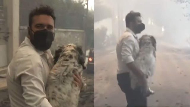 Φωτιά στην Αττική: Ρεπόρτερ σώζει σκύλο στη Νέα Πεντέλη ενώ δίπλα του καίγονται όλα (video)