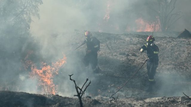 Φωτιά στην Αττική: 19 παιδιά, 5 πολίτες κι ένας πυροσβέστης με εγκαύματα δευτέρου βαθμού στα νοσοκομεία – Δραματική έκκληση της Αστυνομίας