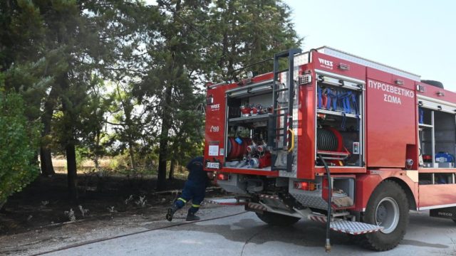 Φωτιά στον Όλυμπο: Άμεση κινητοποίηση της Πυροσβεστικής
