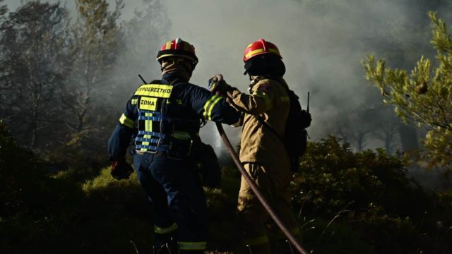 Λέκκας για τη φωτιά στην Αττική: Το «εκρηκτικό κοκτέιλ» που οδήγησε στην ταχεία εξάπλωσή της