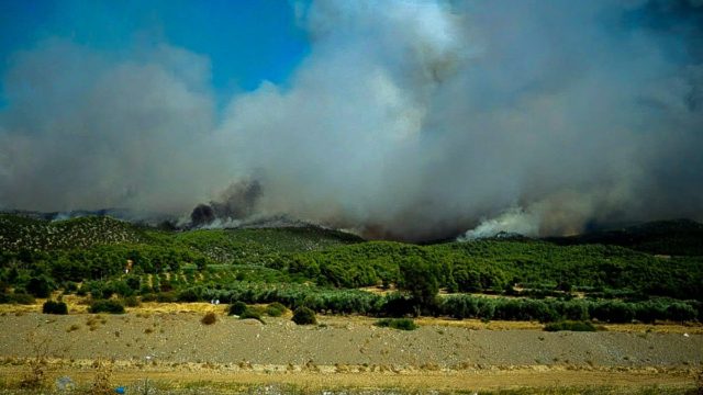 Μεγάλες φωτιές εν εξελίξει σε Βαρνάβα και Μέγαρα: Τεράστια κινητοποίηση της Πυροσβεστικής – Εκκένωση του οικισμού Νέο Μάζι