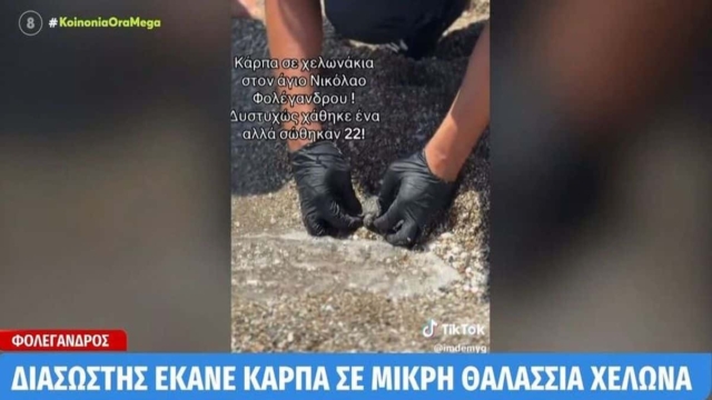 Υπάρχουν άνθρωποι στη Φολέγανδρο: Λιμενικός κάνει ΚΑΡΠΑ σε χελωνάκι και το επαναφέρει στη ζωή