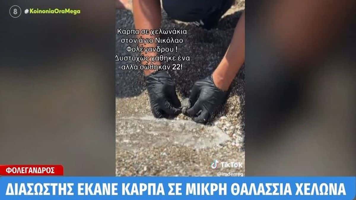 Υπάρχουν άνθρωποι στη Φολέγανδρο: Λιμενικός κάνει ΚΑΡΠΑ σε χελωνάκι και το επαναφέρει στη ζωή