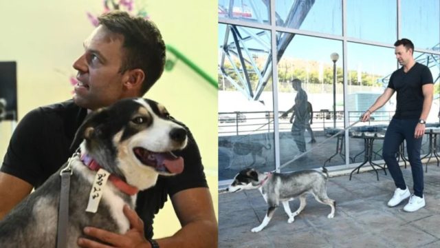 Μπράβο Στέφανε: Ο Κασσελάκης χωρίς να το πολυσκεφτεί υιοθέτησε πυρόπληκτο σκύλο από την φωτιά στην Αττική