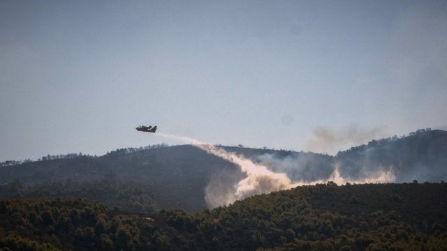 Πυρκαγιά στο Σταυράκι Ιωαννίνων: Πυροσβεστικές δυνάμεις δίνουν μάχη με 3 εστίες φωτιάς