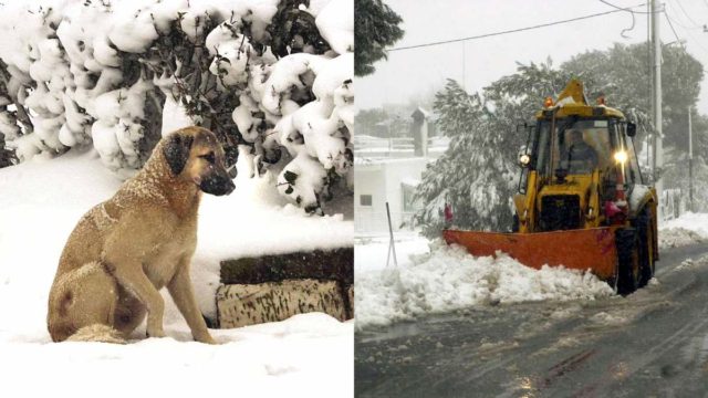 Βγήκαν τα Μερομήνια για τον χειμώνα και τρομάζουν: «Μετά την 28η χιόνια και στην Αθήνα! Για τρεις μήνες…»