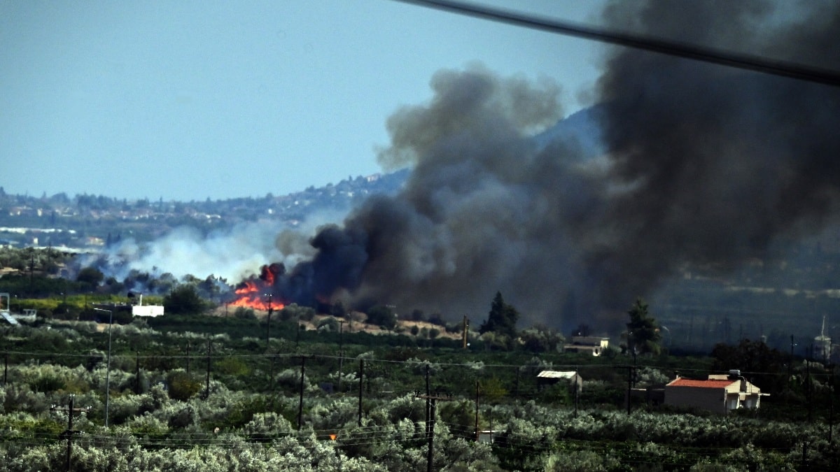 Μεγάλη φωτιά στον Παλαμπά Θεσπρωτίας: Εστάλη μήνυμα από το 112 – Απειλούν σπίτια του χωριού οι φλόγες