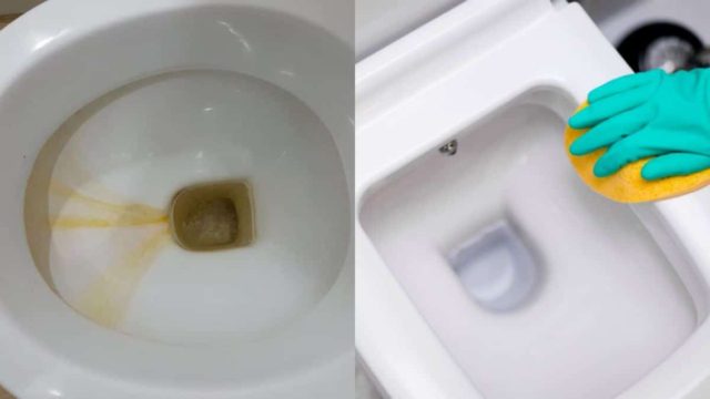 Το μυστικό που δεν αποκαλύπτει κανείς! Βάλε αυτό το υλικό για να εξαφανίσεις το πουρί από την λεκάνη της τουαλέτας