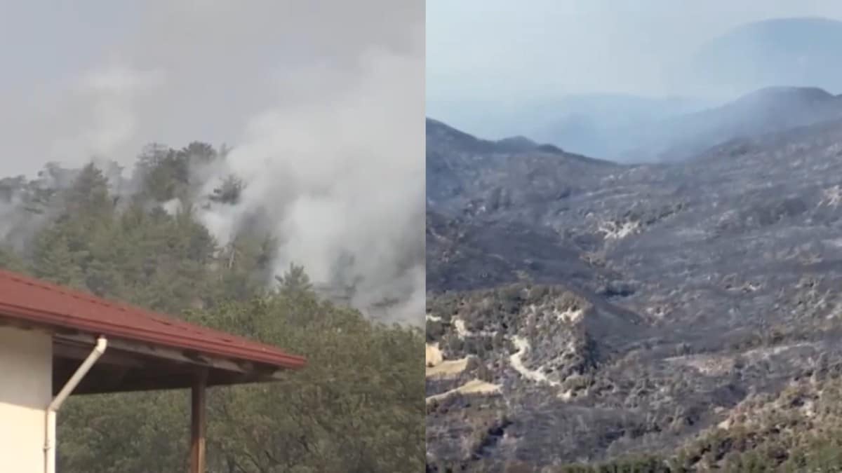 Μάχη με τις φλόγες στη Σμύρνη: Μέτωπα μαίνονται σε Κορδελιό, Βουρλά, Μεντερές, Αϊδίνιο, Μουγλά, Μαγνησία, Μπόλου