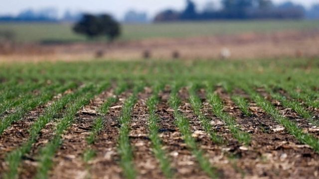 Στυλίδα: Νεκρός εντοπίστηκε 83χρονος στο χωράφι του μετά από μέρες – Τον βρήκε τυχαία ο γείτονάς του