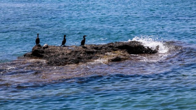 Η φωτογραφία της ημέρας: Και στην Αττική όμορφα είναι για τις αποδράσεις μας