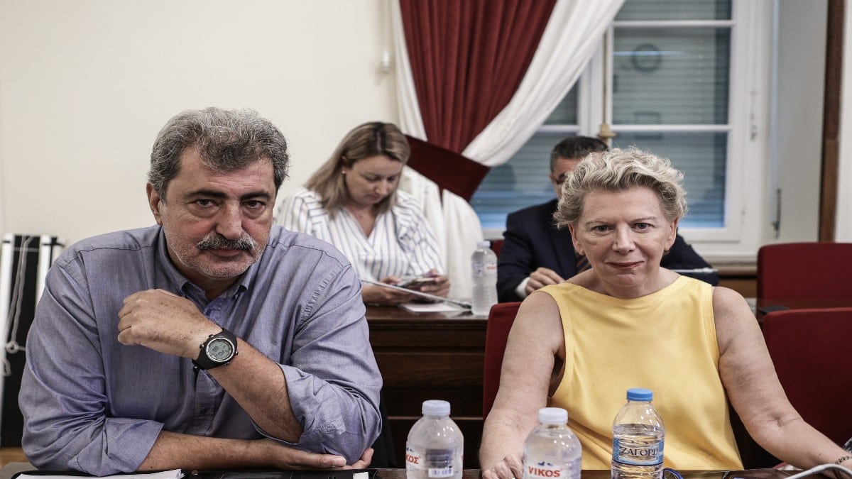 Οργή Ακρίτα προς Πολάκη για την τεκνοθεσία: «Ούτε καλημέρα – Έλενα Ακρίτα, Μητέρα του Παύλου»