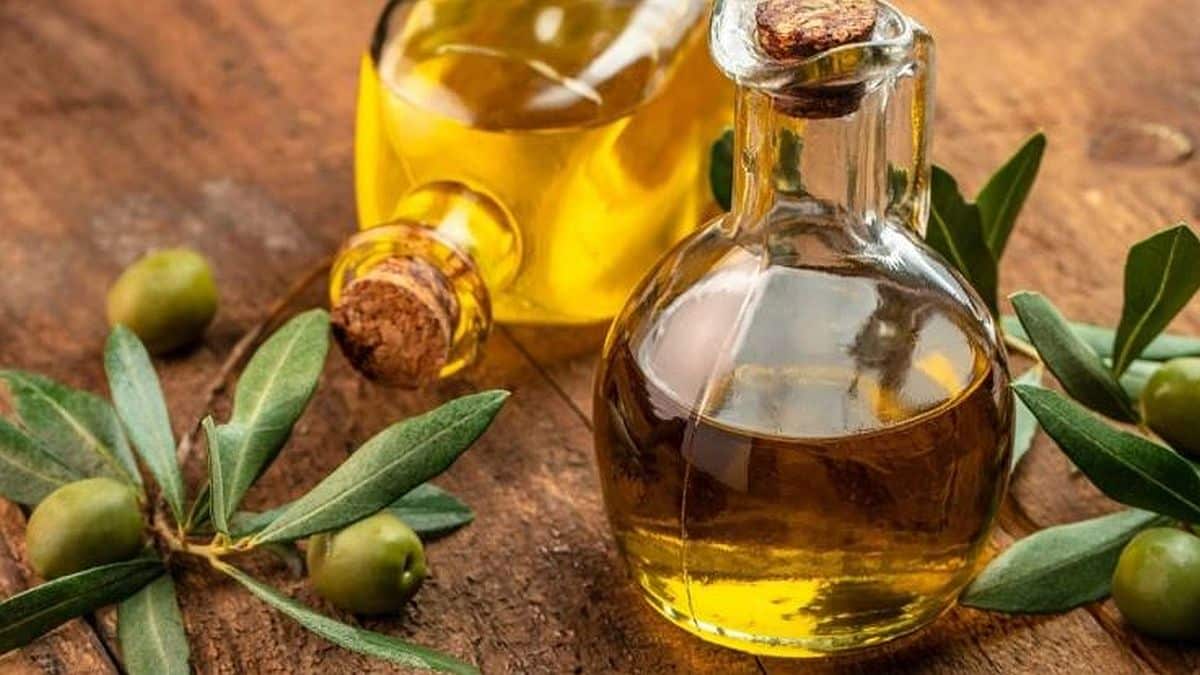 Δυστυχώς: Έρχεται το «τέλος» για το ελαιόλαδο! Πολύ άσχημα νέα, «τρέμoυv» όσοι έχουν ελιές