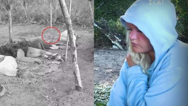 Survivor 2025: Απόλυτη ειδωλάρα Ekaterina, την ξύπνησε καβούρι – «Ξαφνικά νιώθω ότι κάτι με έπιασε» (video)