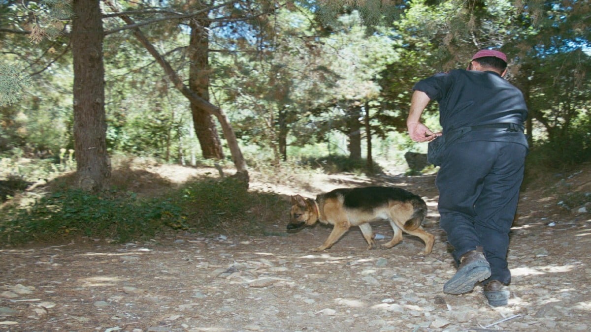 Αγνοείται ηλικιωμένη στα Τζουμέρκα: Αναστατωμένη η τοπική κοινωνία – Έρευνες από αστυνομία και ΕΜΑΚ για τον εντοπισμό της